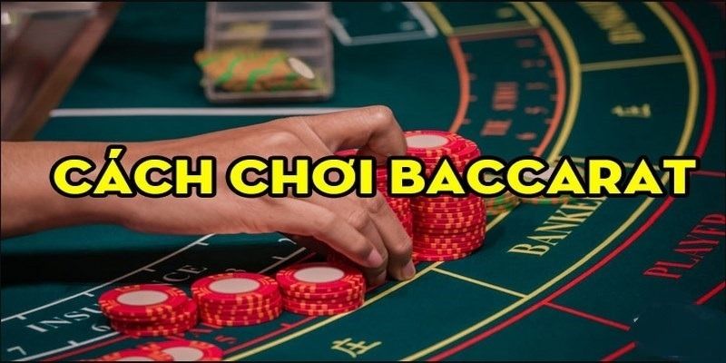 Thông tin về cách chơi bài Baccarat